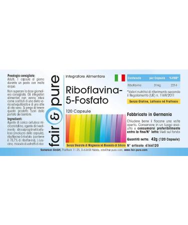 Fair & Pure Riboflavin-5-Phosphate - Vegan Vitamin B2 - 120 Capsules - Boost Energy & Metabolism - Buy Online on GoSupps.com