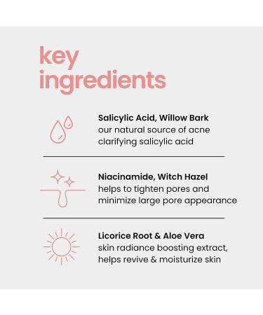 Natural Outcome Niacinamide Toner for Face - Radiance Boosting with Salicylic Acid & Aloe Vera - 8 oz - Buy Online on GoSupps.com