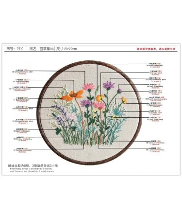 Maydear Stamped Embroidery Kit for Beginners - Cross Stitch Starter Kit with Hoop, Threads, Scissors - Herborist4 - Buy Online on GoSupps.com