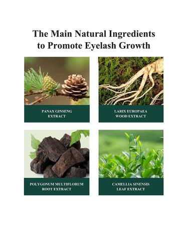 BREYLEE Eyelash Growth Serum | Castor Oil Lash Serum for Thicker Fuller Lashes - Rapid Treatment & Conditioner - Buy Online on GoSupps.com