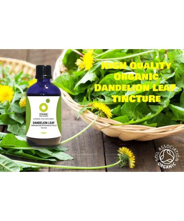 Organic Dandelion Leaf Tincture - 100ml Herbal Remedy - Buy Online on GoSupps.com