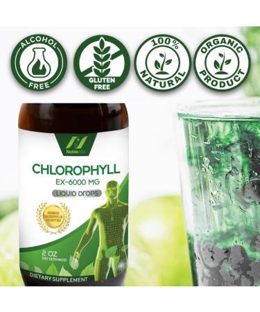 Pure Natural Liquid Chlorophyll Drops by NobleAid - Detox, Odor Neutralizer, Energy Booster - Vegan and Gluten-free Mulberry Supplement - 2 Fl oz - Buy Online on GoSupps.com