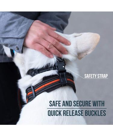 Goodboy Dog Halter - Stop Heavy Pulling Padded Leash for All Sizes - Includes Training Instructions - Size 2 Black Nylon Blue Push - Buy Online on GoSupps.com