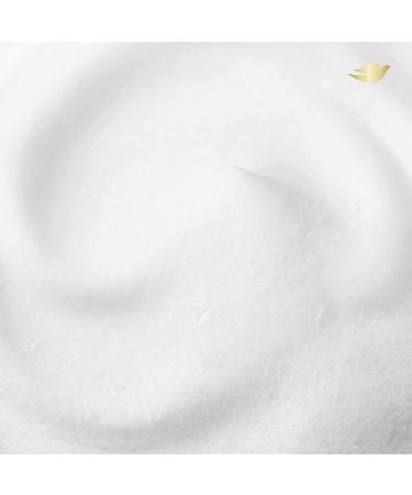 Dove Nourishing Foaming Hand Wash - Aloe & Eucalyptus, 10.1 Fl Oz (Pack of 4) - Cleans & Softens Hands - Buy Online on GoSupps.com