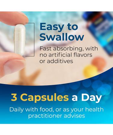 Mayfair Nutrition Marine Collagen Capsules 1470mg Complex - High Strength with Hyaluronic Acid, Biotin, Turmeric, Vitamin C, E, B2, D3 & Minerals - Women's Hydrolyzed Supplements - Made in UK - Buy Online on GoSupps.com