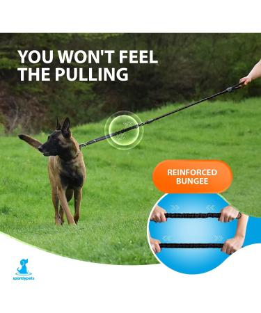 Buy Reflective Bungee Dog Leash for Large & Medium Dogs | Jerk Dampers & Elastic Walking Leash - Black - Buy Online on GoSupps.com