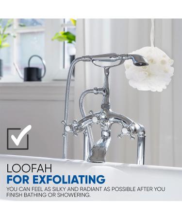 Taio Esponjabon Shower Bath Puff - Mother of Pearl Loofah Luffa Body Wash Ball - Buy Online on GoSupps.com