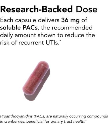 Theralogix TheraCran One Cranberry Capsules - 180-Day Supply - Cranberry Supplement for Men & Women - Cranberry Pills to Support Urinary Tract Health* - 36mg PACs per Capsule - NSF Certified 180 Coun - Buy Online on GoSupps.com
