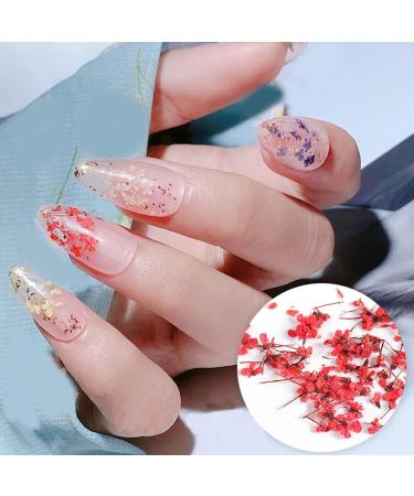 8 Boxes Dried Flowers for Nails | Nail Art Sticker Kit | DIY Nail Decoration Accessories - 8 Colors - Buy Online on GoSupps.com