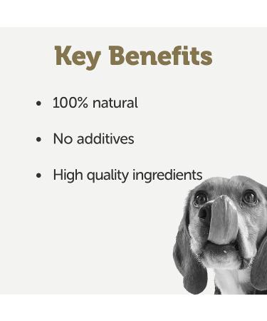 Applaws 100% Natural Wet Dog Food Chicken Fillet with Salmon in Broth - 12 x 156g Cans - Buy Online on GoSupps.com