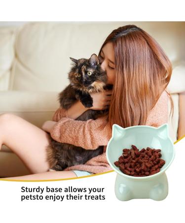 3 PCS Raised Cat Bowl Elevated Cat Feeding Bowls with Stand Tilted Pet Dog Cat Bowl Anti-Tipping Anti Vomit Cat Food Bowl Feeding Water Bowl Cat Dishes 15 Tilted Raised Cat Feeder - Buy Online on GoSupps.com