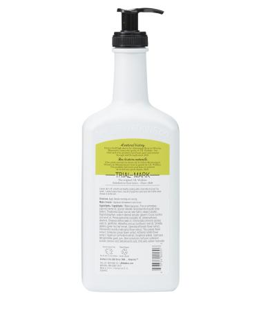 J.R. Watkins Natural Lemon Cream Hand & Body Lotion 18oz (Pack of 6) - Buy Online on GoSupps.com