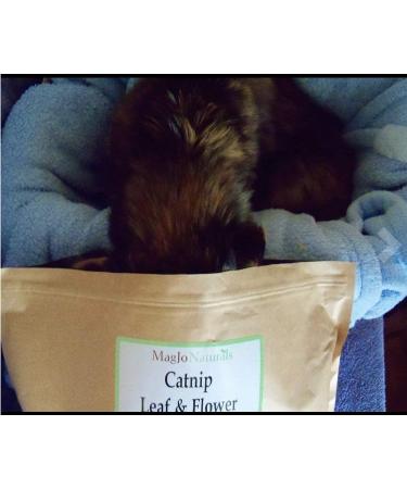 MagJo Naturals Farm Direct Catnip - Freshest Full Pound Bulk Bag - Buy Online on GoSupps.com