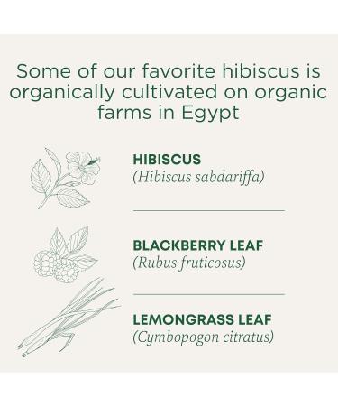Traditional Medicinals - Organic Hibiscus Herbal Tea (Pack of 6) - Fair Trade Ingredients - Tart Tangy and Fruity - 96 Tea Bags Total Tea Hibiscus 16 count (Pack of 6) - Buy Online on GoSupps.com