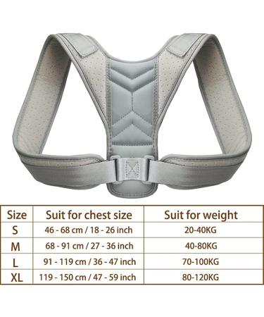 Posture Corrector Adjustable Back Shoulder Posture Corrector Belt Back Support Belt Back Corrector Shoulder Spine Brace Shape Body Anti Jerk Back Posture Light Gray-X-Large Light Gray-X-Large(Light G - Buy Online on GoSupps.com
