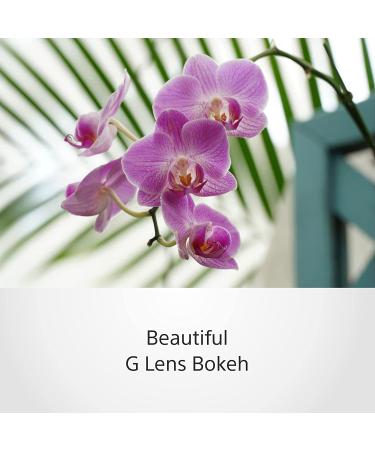 Sony SELP18105G E PZ 18-105mm F4 G OSS Black Camera Lens - Buy Online - Buy Online on GoSupps.com