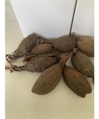 RMY Maniguette enti re Gousse de piment de Guin e (graines de paradis) piment alligator ou poivre alligator-6/ PCS - Buy Online on GoSupps.com