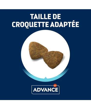 Advance Medium Adult Chicken - Dry Food for Medium Breed Adult Dogs with Chicken - 14kg - Buy Online on GoSupps.com