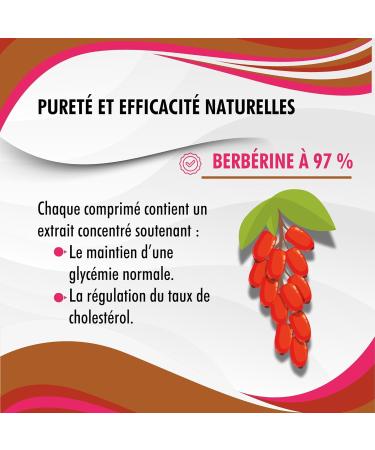 AG nature Berberine HCL 500 mg 120 Tablets - Natural High Dosage Supplement for Cardiovascular and Cardiometabolic Wellness - Buy Online on GoSupps.com