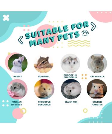 Wooden Hamster Toys Platform with Climbing Ladder - Small Animal Cage Accessories Set - Buy Online on GoSupps.com