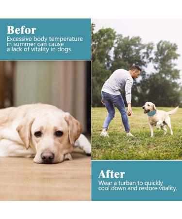 Ekong Dogs Halle Halle Cooling Collar - Breathable Heat Discharge Bandana for Dogs - Summer Cooling Solution for Cold Dogs (45 x 13cm) - Buy Online on GoSupps.com