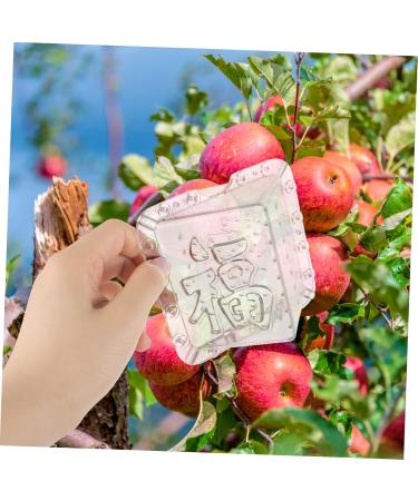 Milisten 10 Pcs Square Apple Molds Fruit Shaping Mold Plastic Fruit Mold Fruit Shaped Mold Melon Stereotypes - Buy Online on GoSupps.com