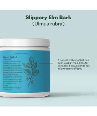 Nature M.D. GutConnect 365 Chocolate Coconut |Gut Health SuperFood Powder | Vegan Certified | Allergen Free | Non-GMO | Soy Free | Made in The USA | 30 Servings - Buy Online on GoSupps.com