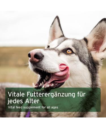 AniForte Barf Additive for Dogs - Vegetable Variety - 5 kg - Natural Product Barf Food Supplement Grain Free Gluten Free Flakes Without Artificial Additives 100% Natural Supplement - Buy Online on GoSupps.com