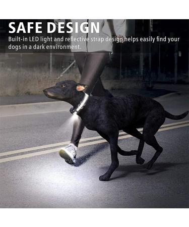 New Classic Nylon Dog Collars - Breathable Waterproof & Easy to Handle for All Sizes - Buy Online on GoSupps.com