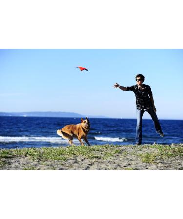 Buy Chuckit! Heliflight Large Dog Toy - Durable Interactive Fetch Fun | International Shipping Available - Buy Online on GoSupps.com