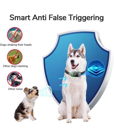 Wizco Rechargeable Smart Dog Bark Collar | Anti Bark Training with Adjustable Sensitivity | No Shock | for Large, Medium, Small Dogs (Black) - Buy Online on GoSupps.com