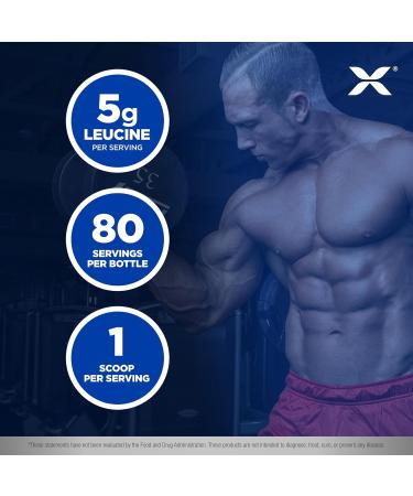 ALLMAX Leucine 400g - Boost Protein Synthesis Preserve Lean Muscle & Enhance Recovery - 80 Serve Best for Muscle Growth - Buy Online on GoSupps.com