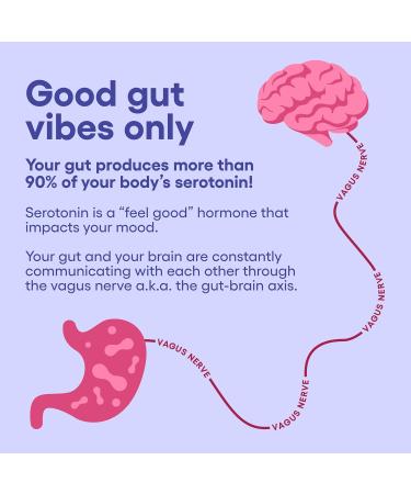 Physician's CHOICE Mood Support Probiotic - Supports a Balanced Mood Healthy Stress Response & Digestive Health with Prebiotics Ashwagandha Vitamin B12 Folate - for Men & Women - 30ct 30 Count (Pack of 1) - Buy Online on GoSupps.com