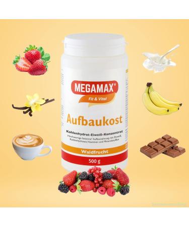 Megamax Building Food Forest Fruit 500g - High-Caloric Protein Powder for Weight Gain & Muscle Mass | Ideal Calorie Shake for Underweight Individuals - Buy Online on GoSupps.com