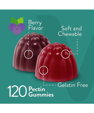 Extra Strength Probiotics Plus Prebiotics Fiber Gummies 2 Billion CFUs - Immune & Digestive Support - Dualbiotic Vegan Chewable - Berry Flavor - 60 Count (Pack of 2) - Buy Online on GoSupps.com