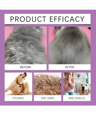 ulapithi Pet Conditioner Pet Shampoo for Dogs | Natural Detangling Pet Shampoo with Lavender 100ml Deodorizing Shampoo - Buy Online on GoSupps.com