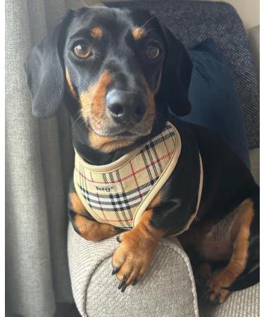 Bunty Tartan Small Dog Harness - Adjustable No Pull Puppy Harness for Small Dogs - Soft, Breathable, Anti-Pull - Red - Buy Online on GoSupps.com