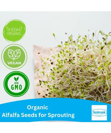 Organic Alfalfa Seeds for Sprouting 1kg | Certified Organic by Fenbrook Organic - Buy Online on GoSupps.com
