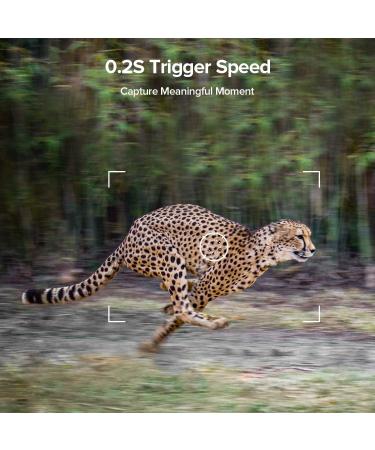 1520P 20MP Trail Camera with 120 Wide-Angle Motion Sensor, 0.2s Trigger Time, 940nm No Glow, IP66 Waterproof - Wildlife Game Camera for Monitoring - Green - Buy Online on GoSupps.com