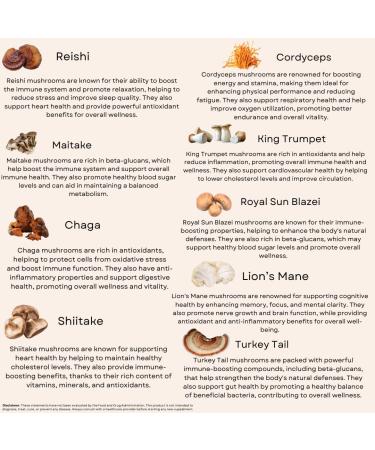 Sacred Tree Naturals Organic Mushroom Immune Support Capsules 9 Mushroom Blend for Immune Health & Wellness with Reishi Lion's Mane Cordyceps & More - 100% Pure Non-GMO Vegan - Buy Online on GoSupps.com