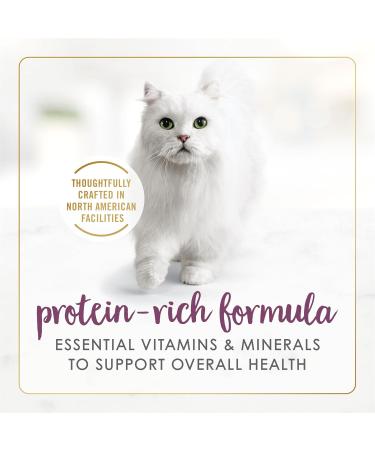 Fancy Feast Gravy Lovers Wet Cat Food Chicken Feast in Gravy - 85 g Can (24 Pack) - Buy Online on GoSupps.com