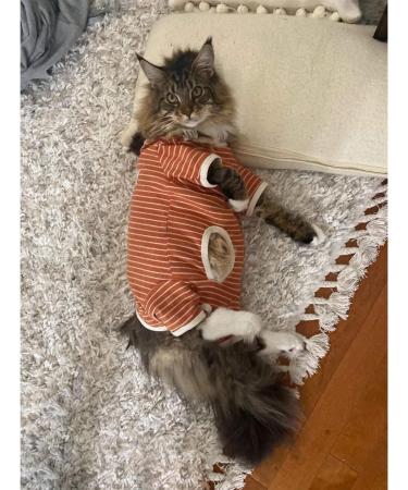 Shop Cozy XS Orange-White Strip Dog Pajamas - Soft Cotton 4-Leg Jumpsuit for Male & Female Pets - Buy Online on GoSupps.com
