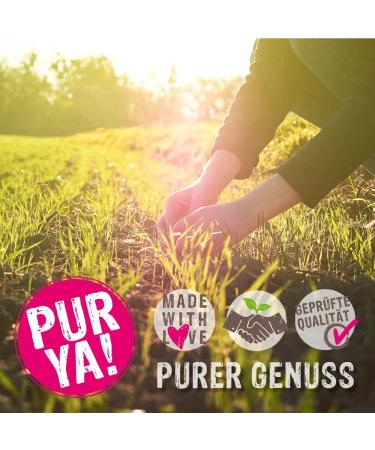 Purya! Bio Vegan Protein Drink | Raw Organic Beverage Powder | Lactose-Free Protein for Muscles & Fitness | 550g Pack - Buy Online on GoSupps.com