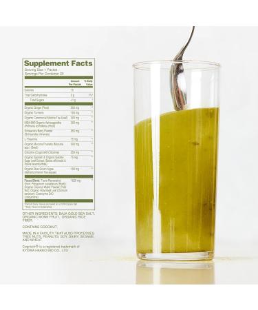 ION* Intelligence of Nature Focused Mind Nootropic Powder Drink Mix - Brain Boost Nootropic Drink with Matcha for Memory Focus & Relaxation Brain Supplement for Men & Women Adults - 5 Packets 0.13 Ounce (Pack of 5) - Buy Online on GoSupps.com