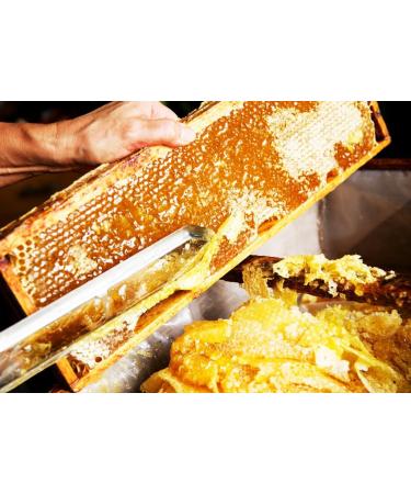 Caravella Fine Food - Tasting box/Gift x 4 - Lemon blossom honey 250g Thistle honey 250g Sulla blossom honey 250g Cherry blossom honey 250g - Italian 100% - Buy Online on GoSupps.com