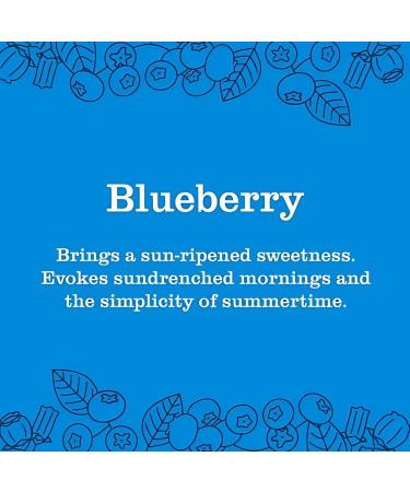 Mrs. MEYER'S Clean Day Blueberry Scent Variety Pack Liquid Hand Soap 12.5 OZ Multi-Surface Cleaner 16 OZ Liquid Dish Soap 16 OZ Room Freshener 8 OZ 1 CT - Buy Online on GoSupps.com