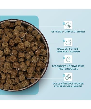 Dr. SAM Premium Dry Food for Adult Dogs - Complete Horse Food with Amaranth and Herb Blend - Ideal for Sensitive Stomachs - Gluten and Grain Free - Buy Online on GoSupps.com