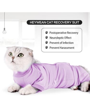 Shop Heywean Katzenbody - Post-Surgery Recovery Shirt for Cats | Long-Sleeved Anti-Trim XS Purple | Ideal After Castration Surgery - Buy Online on GoSupps.com