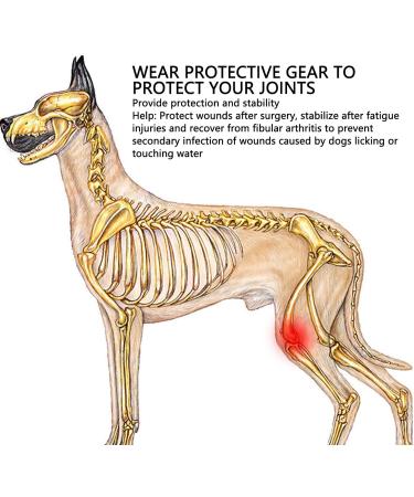 Dog Knee Pad Elastic Dog Leg Brace Oxford Fabric for Injury Recovery (S) - Buy Online on GoSupps.com