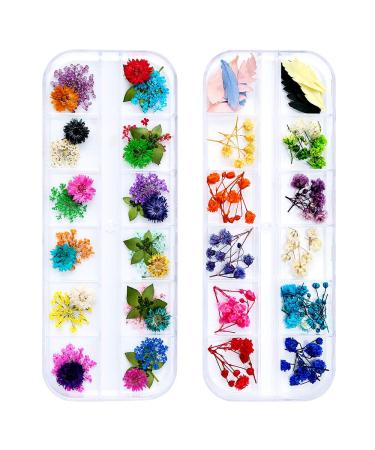 iFancer 90 Pcs Nail Dried Flowers 36 Colors 3D Nail Art Real Flowers Nature Dry Petals Leaves Decor for Nail Art Design Manicure Decoration Nail Dried Real Flower 1